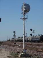 Standing Tall, With Numbered Days